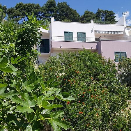 Apartments Pero بودغورا المظهر الخارجي الصورة