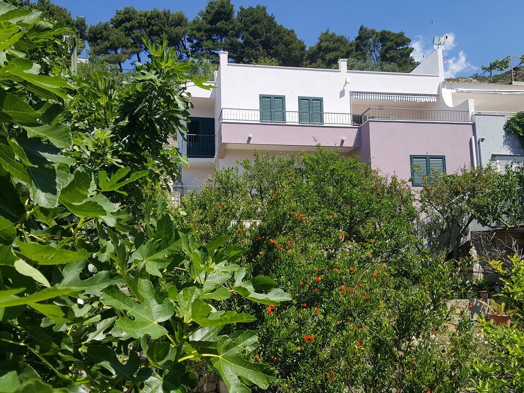 Apartments Pero بودغورا المظهر الخارجي الصورة